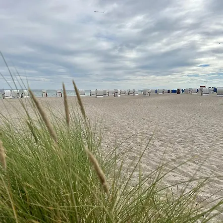 Nordlicht, - Moderne In Direkter Strandnaehe Mit Eigenem Eingang, Sauna, Kaminofen, Terrasse Und Parkplatz アパート オルペニッツ